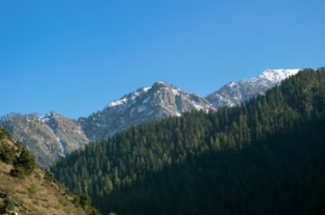 Essential Travel Tips for Srinagar Tourists