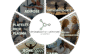 image not found