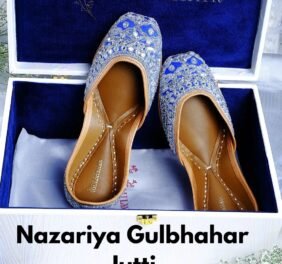 Elegant Punjabi Jutt...