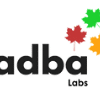 Adba Labs