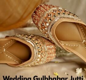 Beautiful Punjabi Ju...