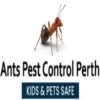 Ants Pest Control Perth