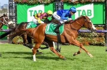 Why Speed Ratings in Horse Racing Matter for Consistent Profits