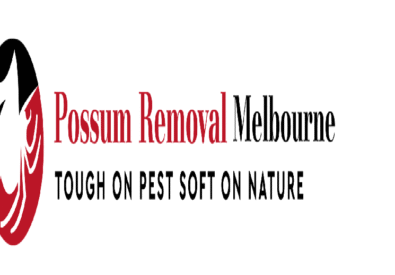 Possum Removal Melbo...
