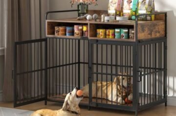 Perfectly Portable Adventures for Your Canine Companion