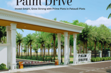 VKS Palm Drive & VKS Pataudi: Premium Residential Plots and Lifestyle Living in Pataudi