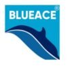 Blueace India Limited
