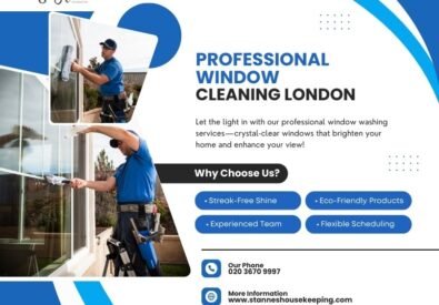 Professional Window ...