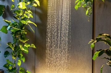 The Story Behind Australia’s Purest Manuka Honey – Sun Highlands