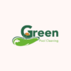 Green Pool Cleaning