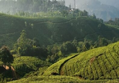 Kerala Holiday Tour ...