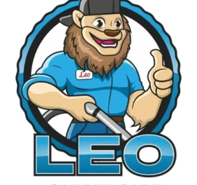 Leo Floor Care &...