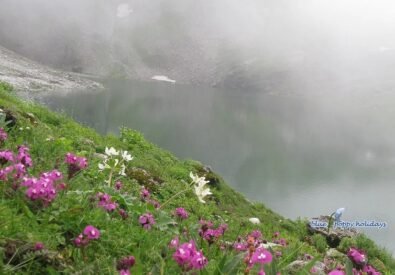 Valley Of Flowers