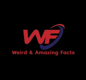 Do Bats Really Hate ...