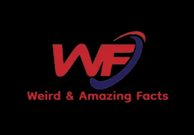 Do Bats Really Hate ...