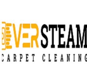 Ever Steam Carpet Cl...