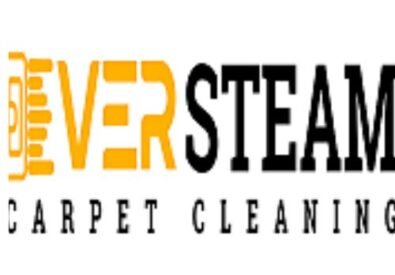 Ever Steam Carpet Cl...
