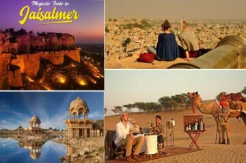 ✨Rajasthan Holidays: Discover Royal Heritage with Perfect Rajasthan Holiday Packages✨