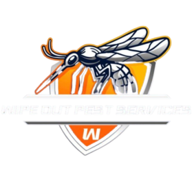 Wipeout pest services