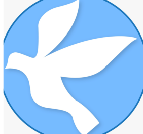 Kingdom Services In USA