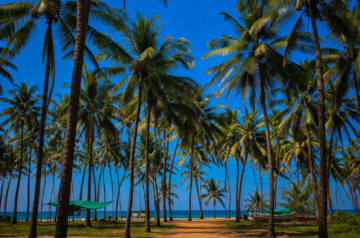 Goa – A Backpackers Paradise