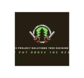 Apex Project Solutio...