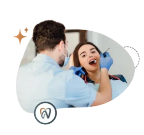 Novel Dental Holly S...