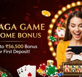 Tiranga Game Colour ...